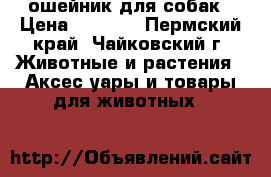 GPS-ошейник для собак › Цена ­ 4 000 - Пермский край, Чайковский г. Животные и растения » Аксесcуары и товары для животных   